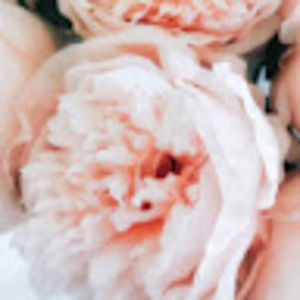 Meet your Posher, Brandee